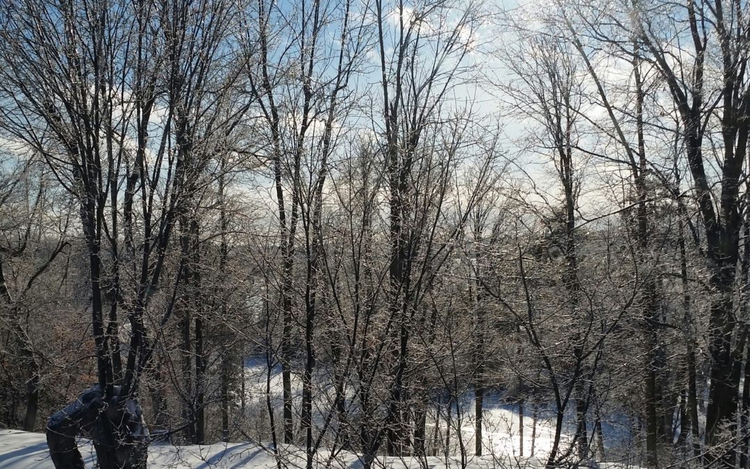 The first day of Advent, an introduction