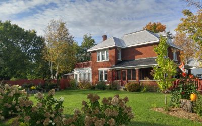 Dan’s Blog #18: The sadness and loss in this house