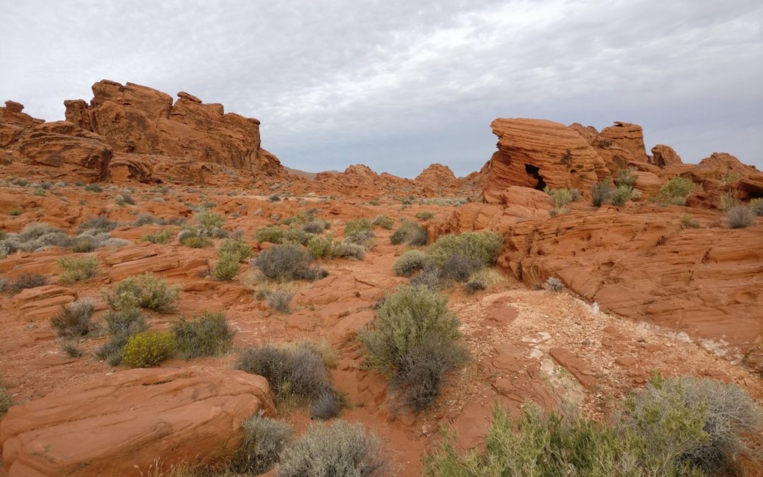 Advent 2018 – Blog December 18