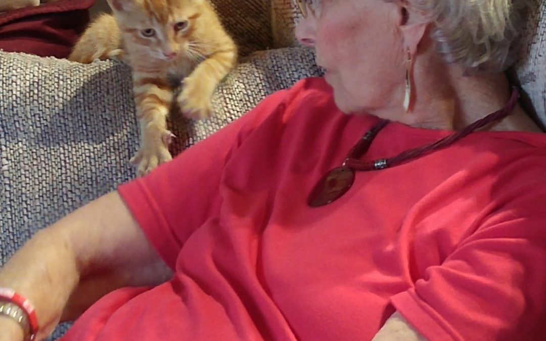 Dan’s Blog #16: The essential role of cueing in dementia care