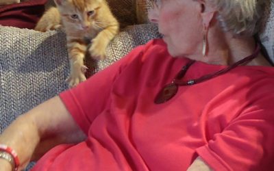 Dan’s Blog #16: The essential role of cueing in dementia care