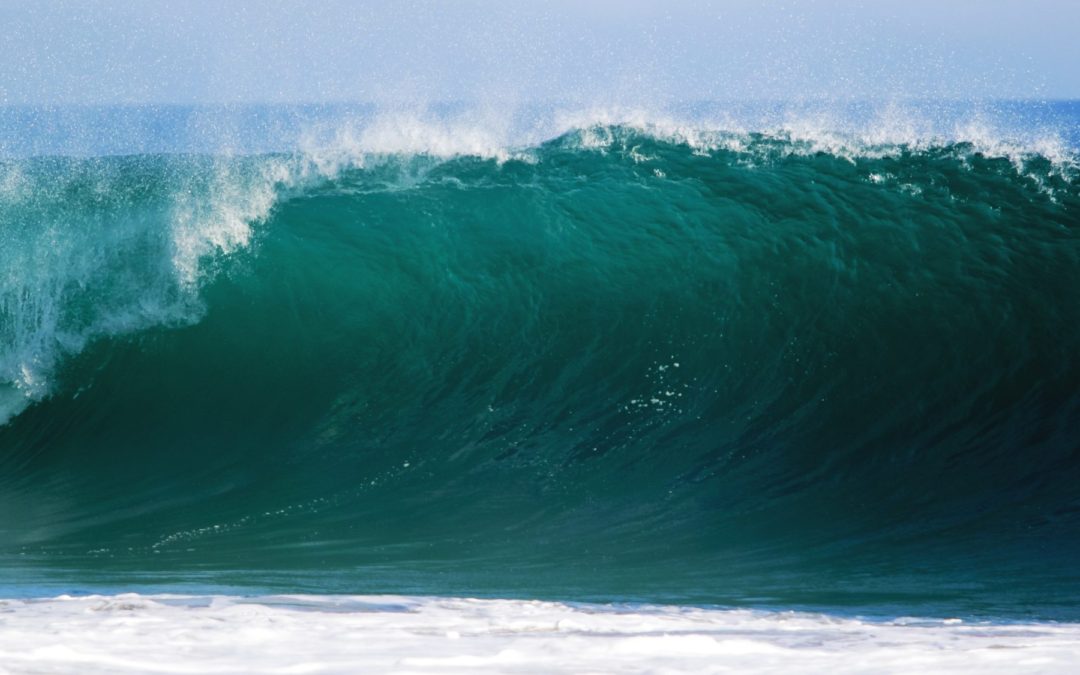 Dan’s Blog #25: Waves crashing over me