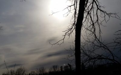 May you have a Holy Lent